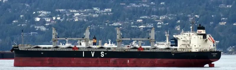 IVS NORTH BERWICK Bulk Carrier IMO 9740902 photo 2