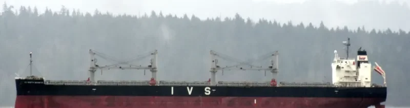 IVS NORTH BERWICK Bulk Carrier IMO 9740902 photo 5