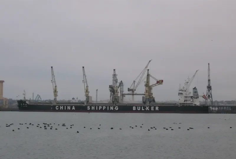QING PING SHAN Bulk Carrier IMO 9741504
