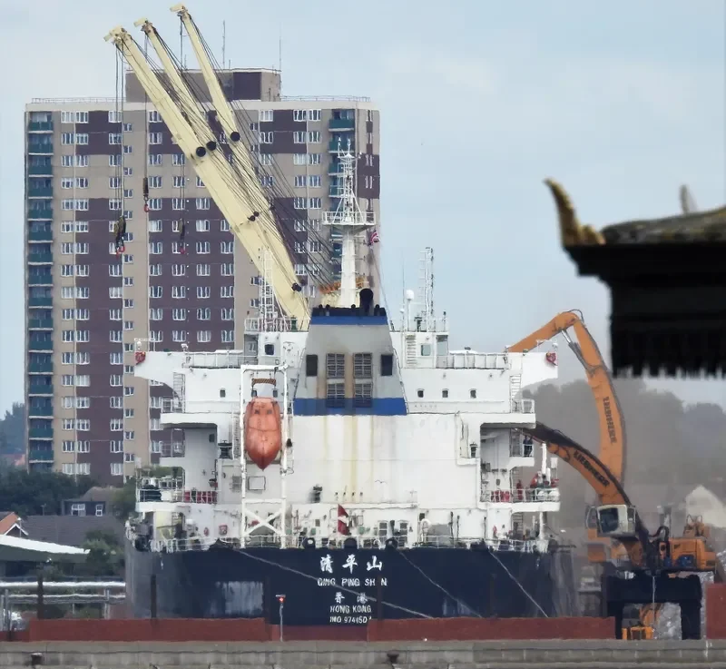 QING PING SHAN Bulk Carrier IMO 9741504 photo 5