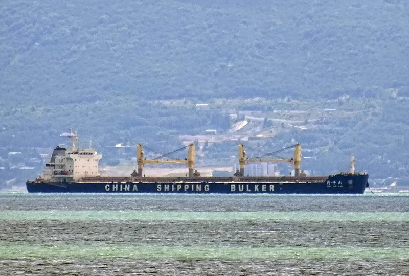 QING PING SHAN Bulk Carrier IMO 9741504 photo 7