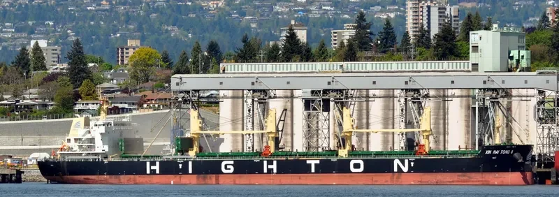 XIN HAI TONG 8 Bulk Carrier IMO 9741566 photo 6