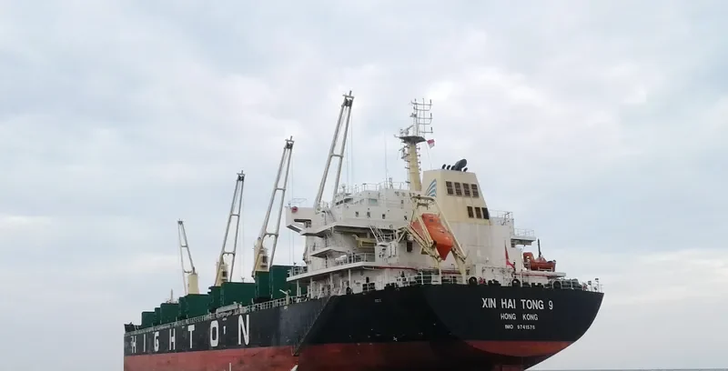 XIN HAI TONG 9 Bulk Carrier IMO 9741578 photo 10