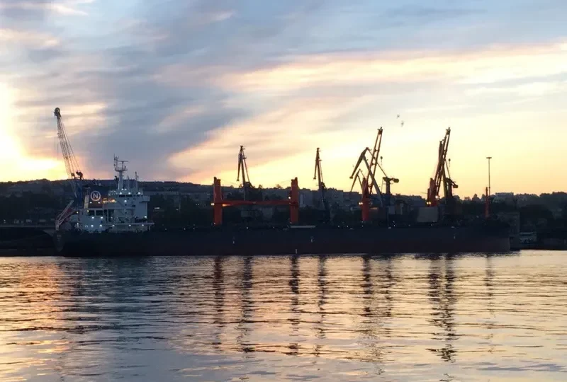 NORDTIGRIS Bulk Carrier IMO 9741700 photo 3