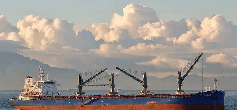 KITE BAY Bulk Carrier IMO 9741736 photo 3