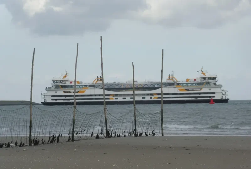 TEXELSTROOM Ro-Ro IMO 9741918 photo 9