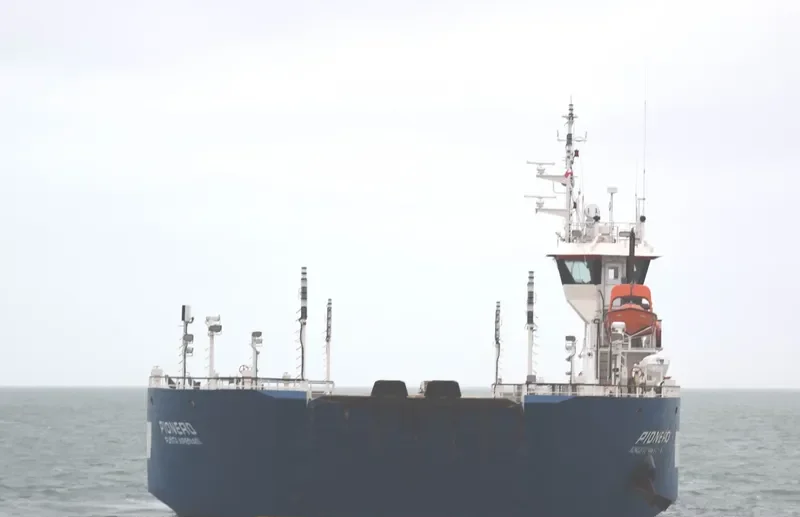 PIONERO Ro-Ro IMO 9741920