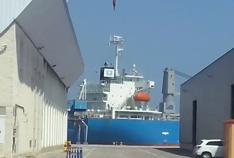 FRANBO LOGIC General Cargo IMO 9742417 photo 6