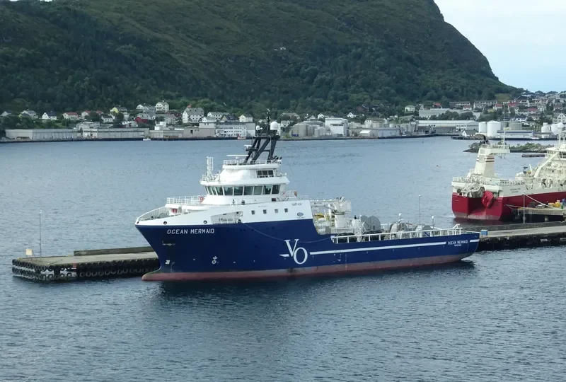 OCEAN MERMAID Bulk Carrier IMO 9742443 photo 2