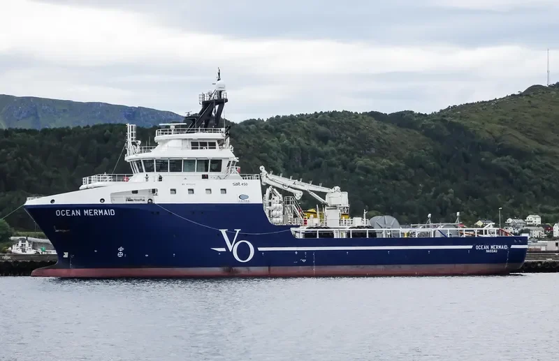 OCEAN MERMAID Bulk Carrier IMO 9742443 photo 3