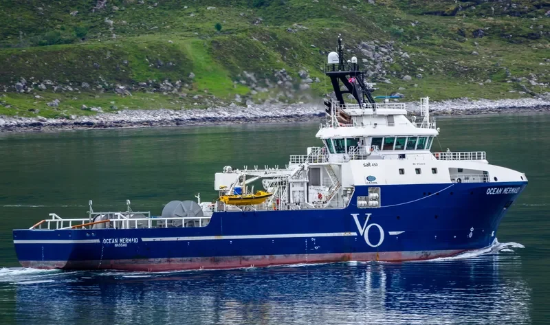 OCEAN MERMAID Bulk Carrier IMO 9742443 photo 6