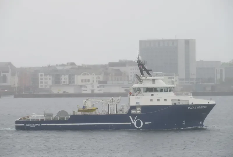 OCEAN MERMAID Bulk Carrier IMO 9742443 photo 7