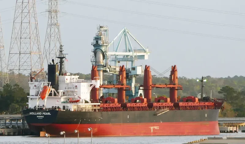 HOLLAND PEARL General Cargo IMO 9742455