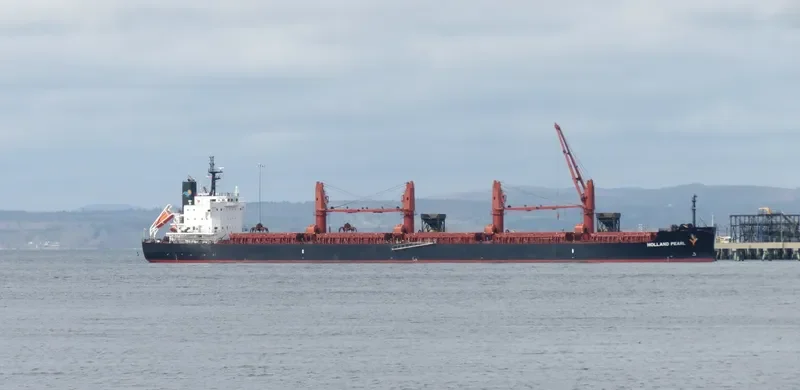 HOLLAND PEARL General Cargo IMO 9742455 photo 6