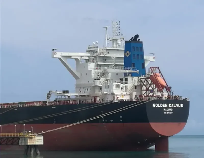 GOLDEN CALVUS Bulk Carrier IMO 9743174 photo 2