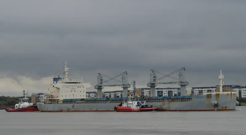 WESTERN MIAMI Bulk Carrier IMO 9743215 photo 3