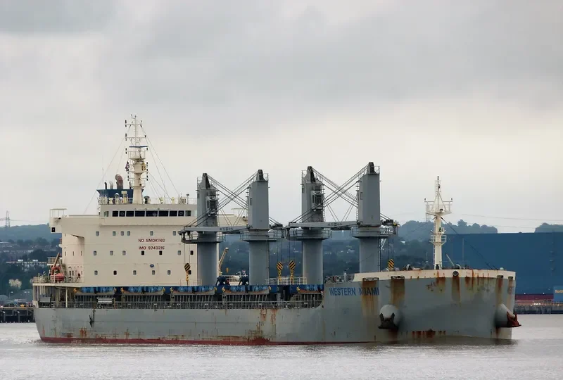 WESTERN MIAMI Bulk Carrier IMO 9743215 photo 6