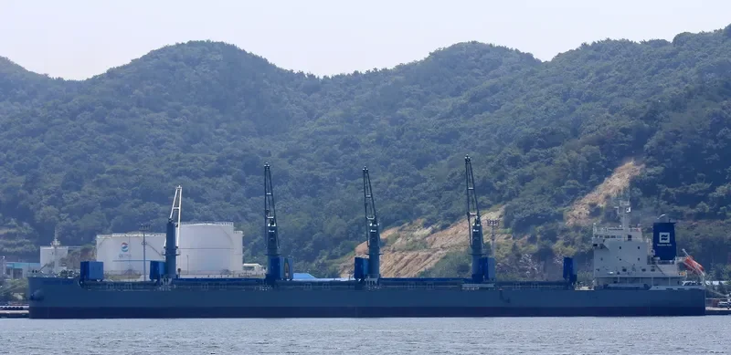 WESTERN MIAMI Bulk Carrier IMO 9743215 photo 8
