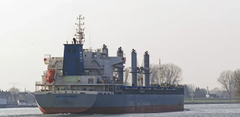 WESTERN MIAMI Bulk Carrier IMO 9743215 photo 9