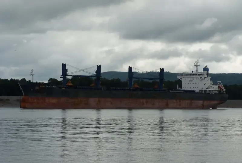 SPIRIT OF SEATREK Bulk Carrier IMO 9743617 photo 4