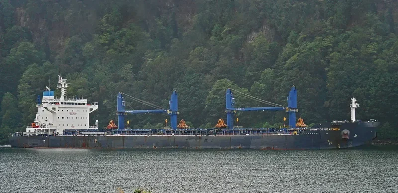 SPIRIT OF SEATREK Bulk Carrier IMO 9743617 photo 5