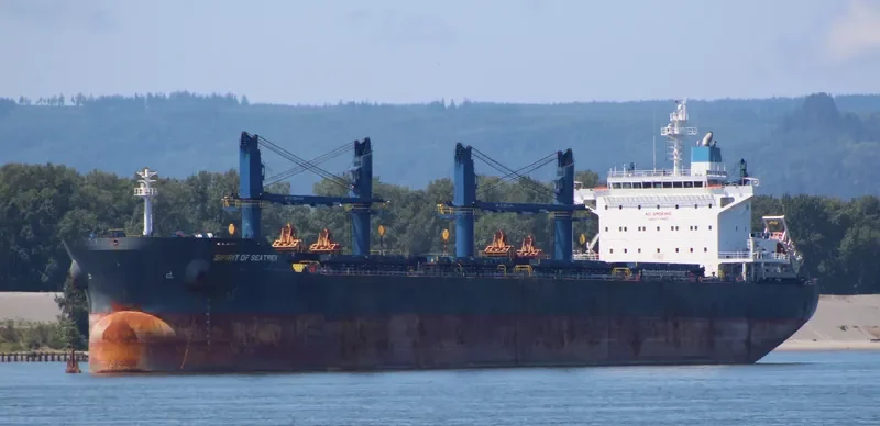 SPIRIT OF SEATREK Bulk Carrier IMO 9743617 photo 6