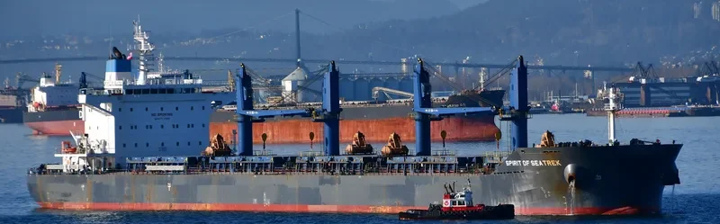 SPIRIT OF SEATREK Bulk Carrier IMO 9743617 photo 10