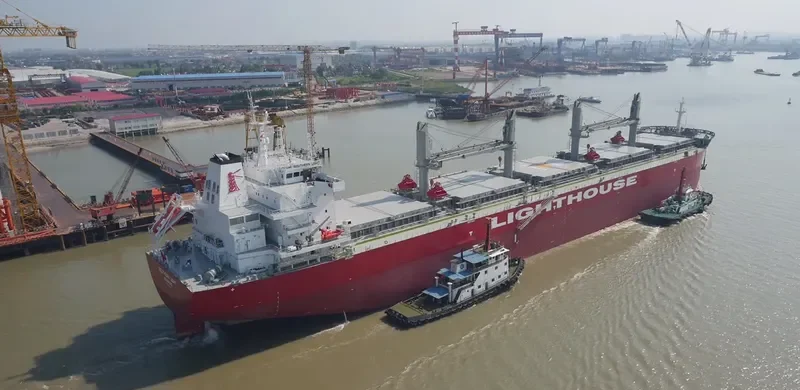 BELSOUTH Bulk Carrier IMO 9744063