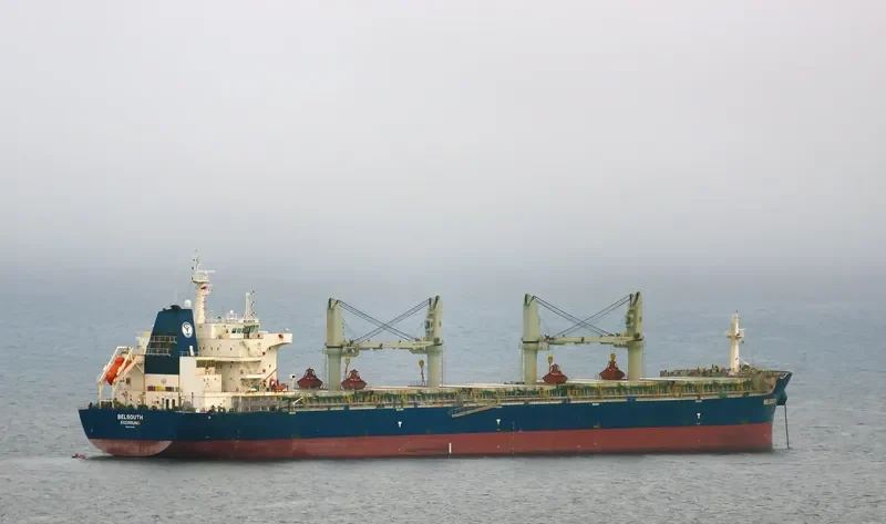 BELSOUTH Bulk Carrier IMO 9744063 photo 3