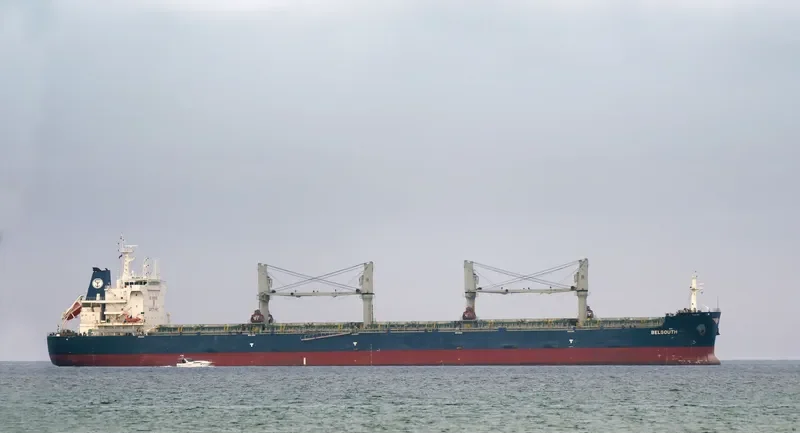 BELSOUTH Bulk Carrier IMO 9744063 photo 4