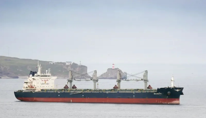 BELSOUTH Bulk Carrier IMO 9744063 photo 7