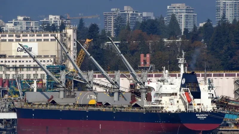 BELSOUTH Bulk Carrier IMO 9744063 photo 8