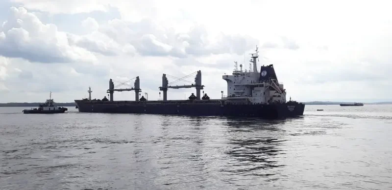 BELSOUTH Bulk Carrier IMO 9744063 photo 9