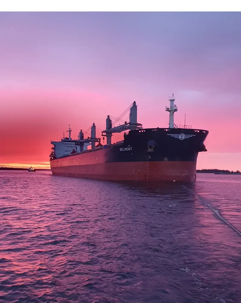 BELMONT Bulk Carrier IMO 9744087 photo 6