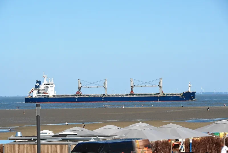 BELMONT Bulk Carrier IMO 9744087 photo 8