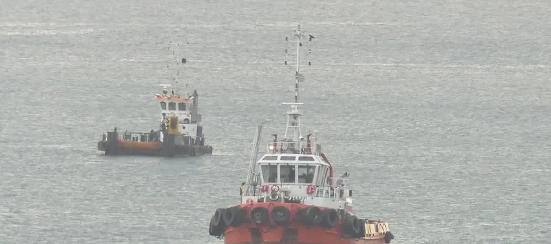 DICHATO Ro-Ro IMO 9744221