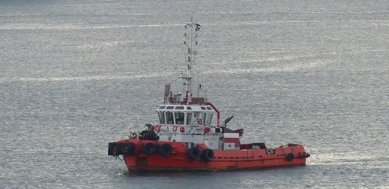 DICHATO Ro-Ro IMO 9744221 photo 2
