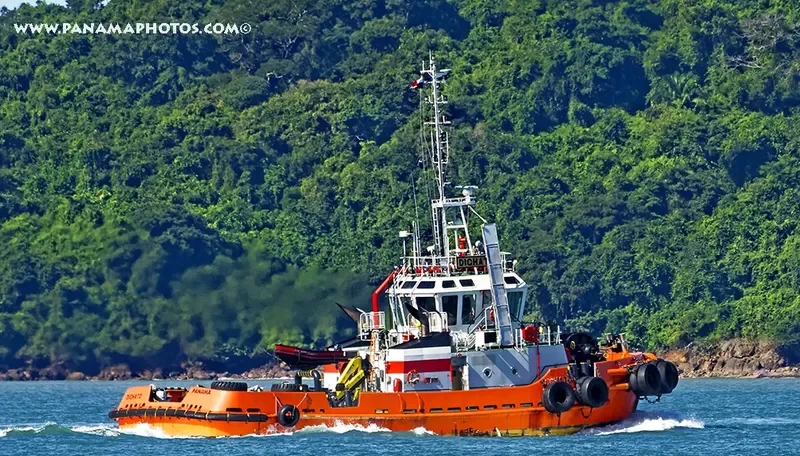 DICHATO Ro-Ro IMO 9744221 photo 4