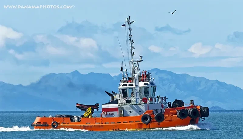 DICHATO Ro-Ro IMO 9744221 photo 5