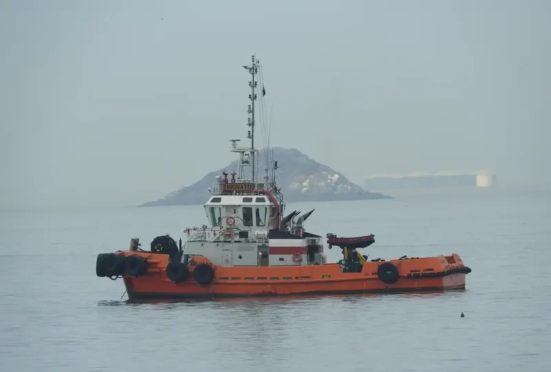 DICHATO Ro-Ro IMO 9744221 photo 10