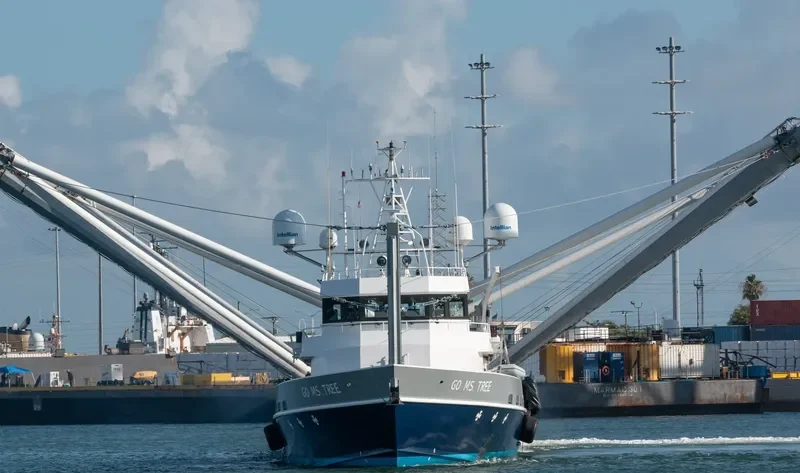 MR STEVEN MCCALL General Cargo IMO 9744465 photo 4