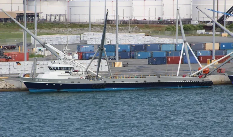 MR STEVEN MCCALL General Cargo IMO 9744465 photo 8