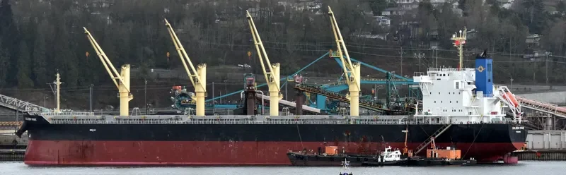 GOLDEN HAWK Bulk Carrier IMO 9745598