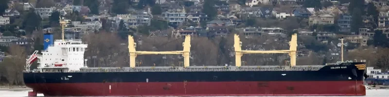 GOLDEN HAWK Bulk Carrier IMO 9745598 photo 2