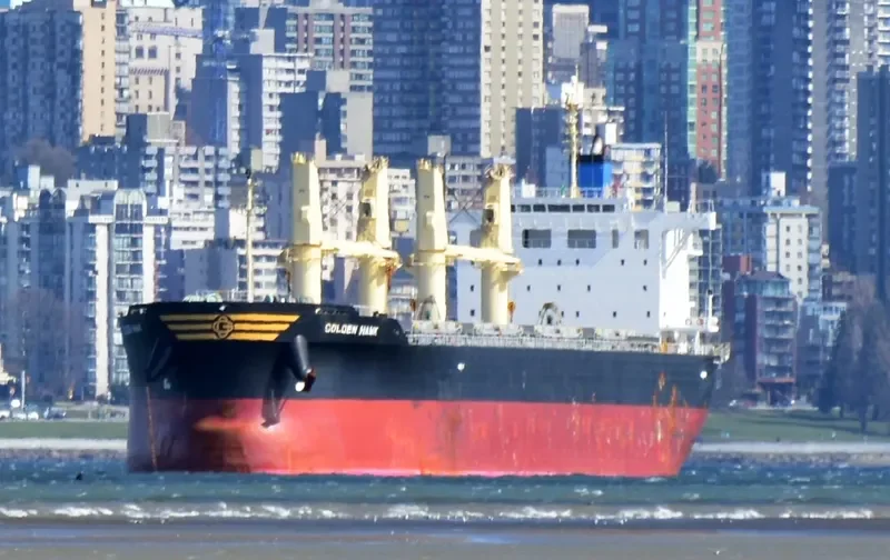 GOLDEN HAWK Bulk Carrier IMO 9745598 photo 3