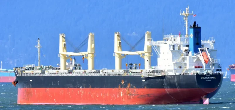 GOLDEN HAWK Bulk Carrier IMO 9745598 photo 4