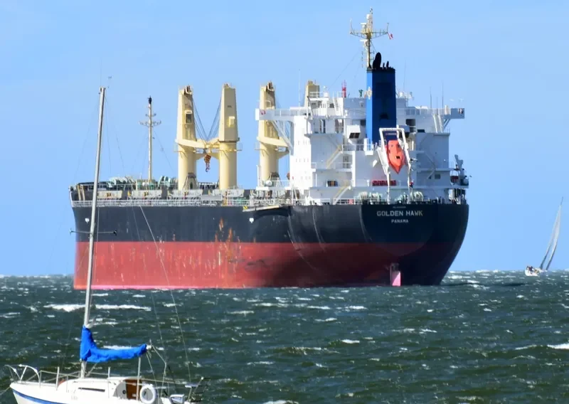 GOLDEN HAWK Bulk Carrier IMO 9745598 photo 5