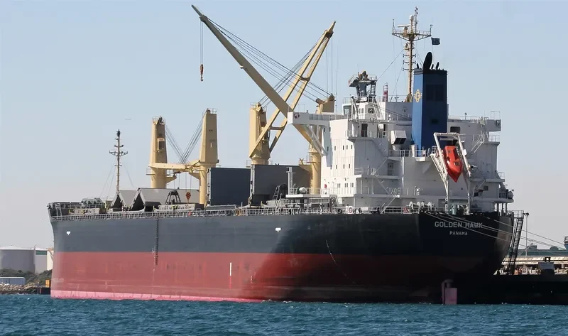 GOLDEN HAWK Bulk Carrier IMO 9745598 photo 7