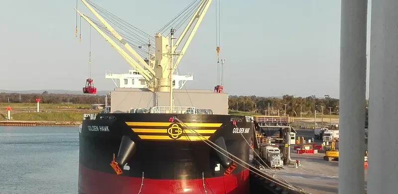 GOLDEN HAWK Bulk Carrier IMO 9745598 photo 8