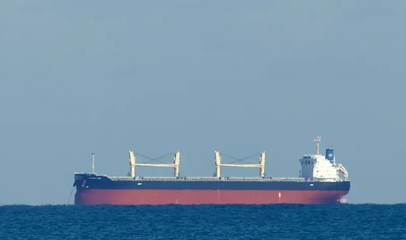 GOLDEN HAWK Bulk Carrier IMO 9745598 photo 9